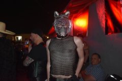 DSC_0253